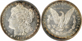Morgan Silver Dollar

1897-S Morgan Silver Dollar. MS-61 DPL (NGC). OH.

PCGS# 97251. NGC ID: 2567.