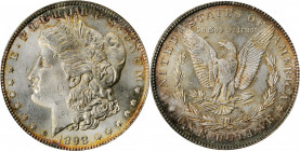 Morgan Silver Dollar

1898 Morgan Silver Dollar. MS-64 (ANACS). OH.

PCGS# 7252. NGC ID: 2568.