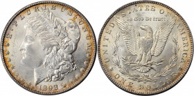 Morgan Silver Dollar

1898-O Morgan Silver Dollar. MS-65 (PCGS). OGH--First Generation.

PCGS# 7254. NGC ID: 2569.