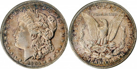 Morgan Silver Dollar

1904 Morgan Silver Dollar. Proof-50 (ANACS). OH.

PCGS# 7339. NGC ID: 2824.