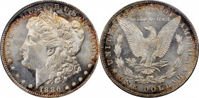 Morgan Silver Dollar

Lot of (3) Prooflike Mint State Morgan Silver Dollars. (ANACS). OH.

Included are: 1881-S MS-64 PL; 1886 MS-63 PL; and 1888-...