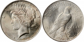 Peace Silver Dollar

1923 Peace Silver Dollar--Struck Thru Grease--MS-64 (ANACS). OH.

PCGS# 7360. NGC ID: 257F.