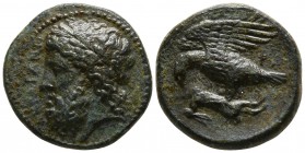 Sicily. Akragas 338-317 BC. Bronze Æ