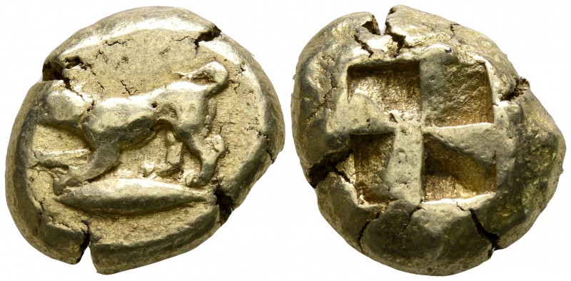 Mysia. Kyzikos 500-450 BC.
Stater EL

18mm., 16,13g.

Dog standing left, fo...