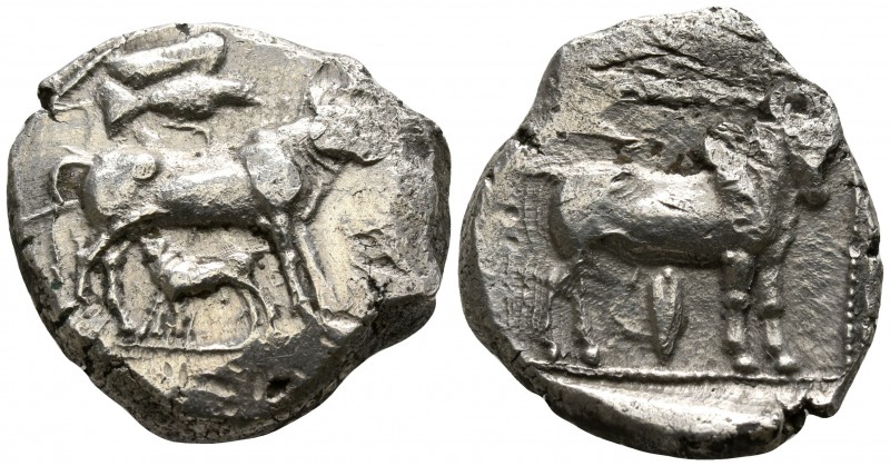 Cyprus. Uncertain mint circa 450 BC.
Stater AR

21mm., 10,31g.

Cow standin...