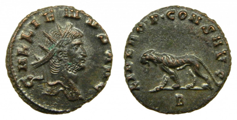 Galieno (253-268). Antoniniano. AE. Roma. Anv.: GALLIENVS AVG. Cabeza radiada a ...