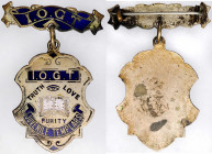 Religious, Society, and Fraternal Medals

Undated Juvenile Member's Badge of the Independent Order of Good Templars. Silver, with blue and white ena...