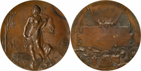 Fairs and Expositions

Undated San Antonio, Texas International Exposition Award Medal. Bronze. Extremely Fine.

63 mm. Obv: Woman with cornucopia...