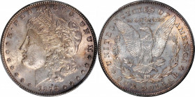 Morgan Silver Dollar

1878 Morgan Silver Dollar. 7 Tailfeathers. Reverse of 1878. MS-64 (PCGS).

PCGS# 7074. NGC ID: 253K.

Estimate: 250