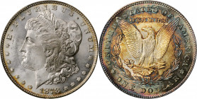 Morgan Silver Dollar

1878 Morgan Silver Dollar. 7 Tailfeathers. Reverse of 1878. MS-63 (PCGS).

PCGS# 7074. NGC ID: 253K.

Estimate: 200