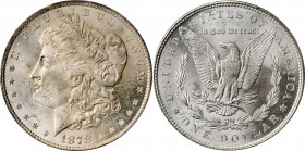 Morgan Silver Dollar

1878 Morgan Silver Dollar. 7 Tailfeathers. Reverse of 1879. MS-63 (PCGS).

PCGS# 7076. NGC ID: 253L.

Estimate: 250