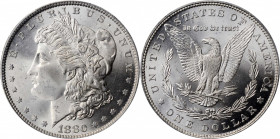 Morgan Silver Dollar

1880 Morgan Silver Dollar. MS-65 (PCGS).

PCGS# 7096. NGC ID: 253Y.

Estimate: 350