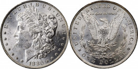 Morgan Silver Dollar

Lot of (7) 1880-O Morgan Silver Dollars. MS-61 (PCGS).

PCGS# 7114. NGC ID: 2543.

Estimate: 700