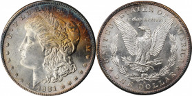 Morgan Silver Dollar

1881-S Morgan Silver Dollar. MS-65 (NGC). OH.

PCGS# 7130. NGC ID: 2549.

Estimate: 125