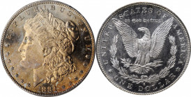 Morgan Silver Dollar

1881-S Morgan Silver Dollar. MS-65 (NGC).

PCGS# 7130. NGC ID: 2549.

Estimate: 125