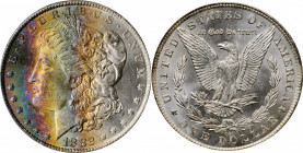Morgan Silver Dollar

1882-CC Morgan Silver Dollar. MS-65 (ICG).

PCGS# 7134. NGC ID: 254B.

Ex GSA.

Estimate: 500