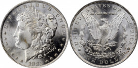 Morgan Silver Dollar

1882-CC Morgan Silver Dollar. MS-64 (PCGS). OGH.

PCGS# 7134. NGC ID: 254B.

Estimate: 200