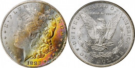 Morgan Silver Dollar

1882-CC Morgan Silver Dollar. MS-64 (ICG).

PCGS# 7134. NGC ID: 254B.

Estimate: 300