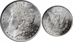 Morgan Silver Dollar

1883 Morgan Silver Dollar. MS-67 (PCGS).

PCGS# 7142. NGC ID: 254G.

Estimate: 1250