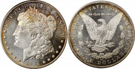 Morgan Silver Dollar

1884-CC Morgan Silver Dollar. MS-65 DMPL (PCGS). OH.

PCGS# 97153. NGC ID: 254M.

Estimate: 600