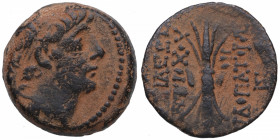 114 / 3-95 a.C.. Euse. REINO SELEUCIDA. Antiochos IX Eusebes Philopator (Kyzikenos. SC 2364. Ae. Antioquía del Orontes. Cabeza diadema a la derecha.
 ...