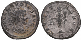 268-270 d.C. Claudio II El Gótico. Antioquía. Probus Æ. RCV III 11316.  Cabeza irradiada de Claudius Gothicus a la derecha "IMP C CLAVDIVS AV / "AEQVI...