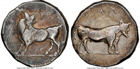 LUCANIA. Laus. Ca. 480-460 BC. AR stater (17mm, 7.64 gm, 2h). NGC Choice Fine, 4/5 - 2/5. ΛAS (retrograde), man-faced bull standing left, head reverte...