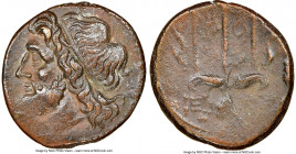 SICILY. Syracuse. Hieron II (ca. 275-215 BC). AE litra (21mm, 12h). NGC Choice VF. Head of Poseidon left, wearing taenia / ΙΕΡΩ-ΝΟΣ/Θ-Φ, trident head,...