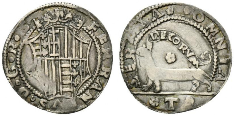 NAPOLI. Ferdinando I d´Aragona (1458-1494) Armellino (g. 1,68). FERRANDVS D G R ...