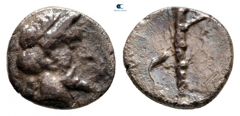 Cilicia. Nagidos circa 420-380 BC. 
Obol AR

8 mm, 0,64 g

Head of Dionysos...