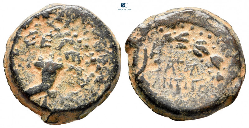 Judaea. Jerusalem. Hasmoneans. Mattathias Antigonos (Mattatayah) 40-37 BCE. 
Fo...