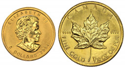 Canada - Elisabetta II (1952) 1/10 Oz .999 - 5 Dollari 2004 - Au - 

FDC

 Worldwide shipping