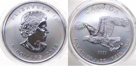 Canada - Elisabetta II (dal 1952) 5 Dollari (1 Oncia) 2014 "Aquila Calva" - Ag - Proof - In capsula - gr.31,1

FS

 Worldwide shipping