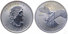 Canada - Elisabetta II (dal 1952) 5 Dollari (1 Oncia) 2014 serie Aquila - KM 225 - Ag - Proof - gr. 31,1

FS

 Worldwide shipping