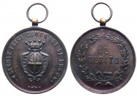 Medaglia al Merito - Scuole Trisi Comunali di Lugo - Ae - con appiccagnolo - gr.17,99 - Ø mm32

SPL+

 Worldwide shipping