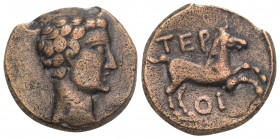 Roman Provincial Coins
 PISIDIA. Termessos (by Oenanda). Tiberius(?). Ae. 5.1gr. 18.4mm
Obv: Bare head right. Rev: TEP / OI. Horse prancing right. RPC...
