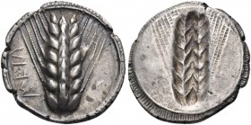 Lucania. Metapontum. Circa 540-510 BC. Nomos (Silver, 26 mm, 8.17 g, 12 h). META Barley ear of seven grains; border of dots. Rev. Incuse Barley ear of...