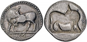 Lucania. Sybaris. Circa 550-510 BC. Stater (Silver, 29 mm, 8.24 g, 12 h). VM Bull standing to left on dotted ground line, head turned back to right; b...