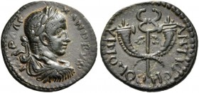 PISIDIA. Antiochia. Severus Alexander, 222-235. Assarion (Bronze, 19 mm, 3.32 g, 12 h). IMP ALEXANDRVS Laureate, draped and cuirassed bust of Severus ...