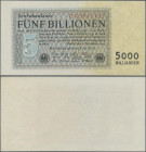 Deutschland - Deutsches Reich bis 1945: 5 Billionen Mark vom 1. November 1923, Reichsdruck Serie C, Ro.127a, minimal bestoßene Ecke unten links, sonst...