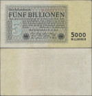 Deutschland - Deutsches Reich bis 1945: 5 Billionen Mark vom 01. November 1923, Serie ”D”, KN 8-stellig, Ro.127a, saubere Gebrauchserhaltung mit einig...