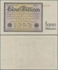 Deutschland - Deutsches Reich bis 1945: 1 Billion Mark vom 5. November 1923, KN 6-stellig rot, Fz. Schwarz AR und Wz. Kreuzblüten, Ro.131d, leichter M...
