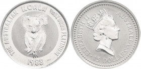 Australien: Elizabeth II. 1952-,: 15 Dollars 1988, Platin Koala, 1/10 OZ 999/1000 Platin, KM# 108. In quadratischer Dose.
 [differenzbesteuert]