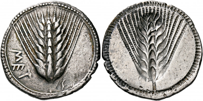 LUCANIA. Metapontum. Circa 540-510 BC. Nomos (Silver, 29 mm, 8.06 g, 11 h). ΜΕΤ ...