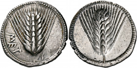 LUCANIA. Metapontum. Circa 540-510 BC. Nomos (Silver, 29 mm, 8.06 g, 11 h). ΜΕΤ Ear of barley with eight grains. Rev. Ear of barley with eight grains,...