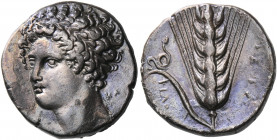 LUCANIA. Metapontum. Circa 340-330 BC. Didrachm or nomos (Silver, 20 mm, 7.68 g, 9 h), signed by the Kal... engraver and the magistrate Philox.... You...