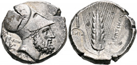 LUCANIA. Metapontum. Circa 340-330 BC. Distater (Silver, 27 mm, 16.69 g, 8 h). Bearded head of Leukippos to right, wearing a Corinthian helmet [orname...