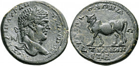Caracalla, 198-217. (Bronze, 28 mm, 14.47 g, 6 h), Tyana in Cappadocia, year Iς = 16 = 212-213. AYT K M AYP ANTΩNINOC Laureate head of Caracalla to ri...