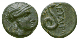 Mysia, Pergamon, King Philotairos, 281 - 133 BC
Obverse: Helmeted head of Athena right.
Reverse: Coiled snake, monogram in left field.
SNGCop344
...