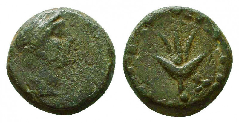 SELEUKID KINGS of SYRIA. 2nd to 1st Century BC. Ae.

Condition: Very Fine

W...